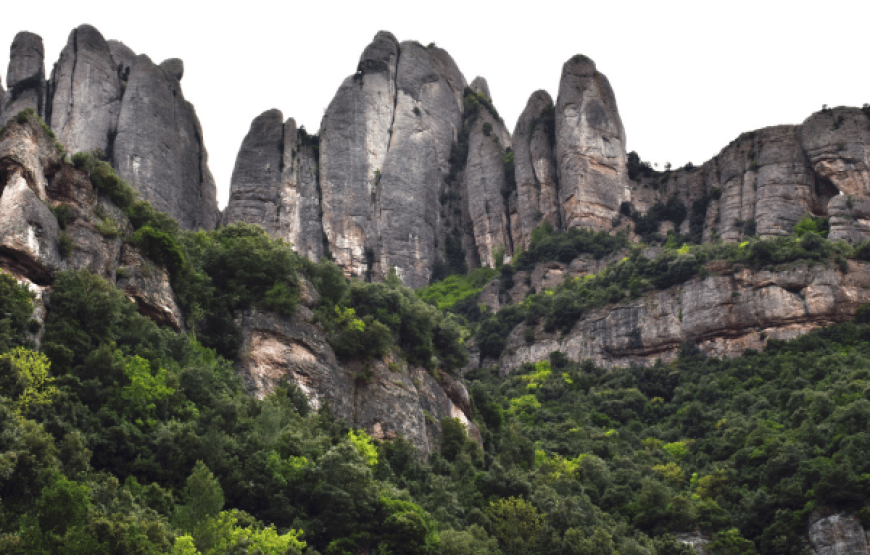 Barcelona to Montserrat Guided Tour with Tickets